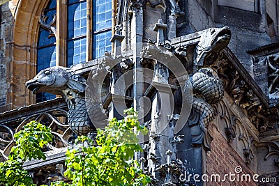 Gargoyles on Ulm Minster or Cathedral of Ulm city Germany Stock Photo