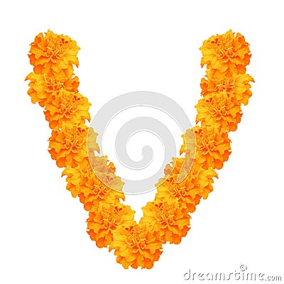 Garland of marigolds Vector Illustration