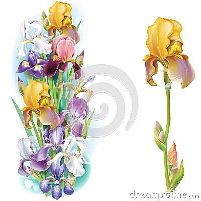Garlands of Iris flowers Vector Illustration