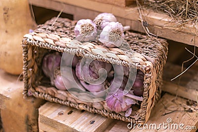 Garlic basket in farmer market store f Stock Photo