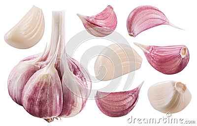 Garlic bulb and garlic cloves. Clipping path. Stock Photo