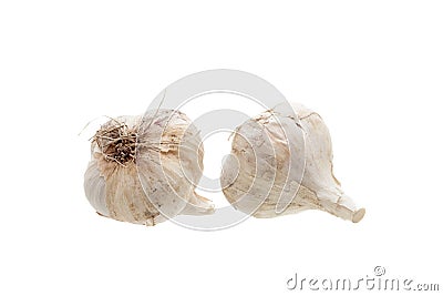 Garlic bulb head fresh fragrant vegetable. Stock Photo