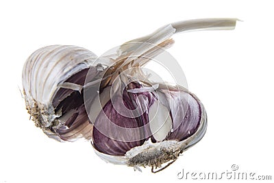 Garlic Bulb Stock Photo