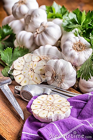 Garlic. Bunch of fresh garlic with celery herbs Stock Photo