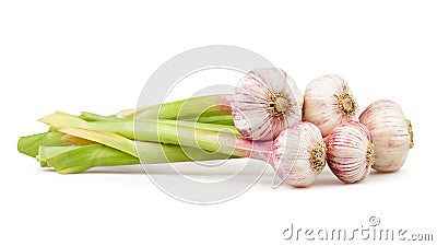 Garlic bunch Stock Photo