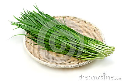 Garlic chives Stock Photo