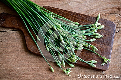 Garlic chives or Allium tuberosum on wooden table Stock Photo