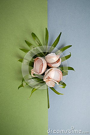 Garlic cloves lie on a leaf of a tropical plant on a blue-green Stock Photo