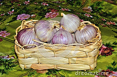 Garlic in a crib. Stock Photo