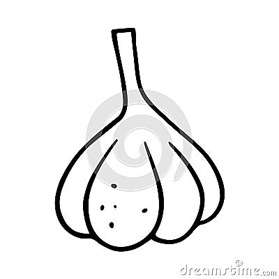 Garlic doodle, cooking nutrient. Hand-drawn spice food, proper eating, healthy diet. Sketch, minimalism, line art. Isolated. Vector Illustration