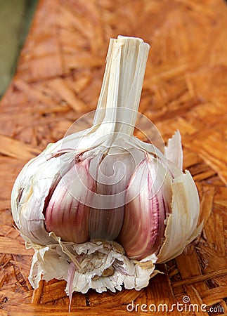 Garlic Stock Photo