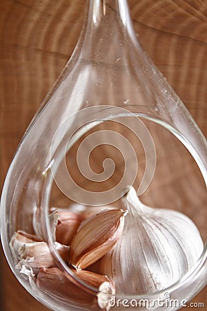 Garlic Stock Photo