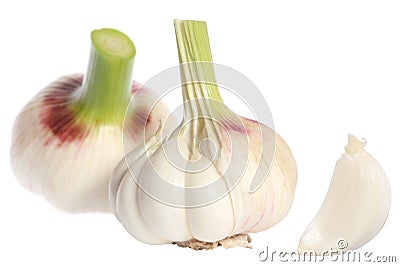 Garlic head Stock Photo