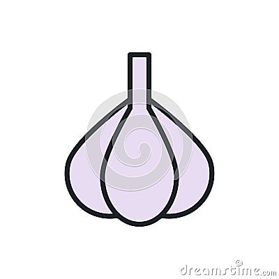 Garlic icon. Linear color icon, contour, shape, outline isolated on white. Thin line. Modern design. Vector Vector Illustration