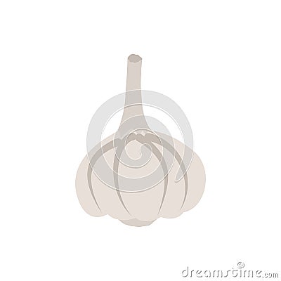 Garlic isolated. Vegetables on white background. Plant pungent t Vector Illustration