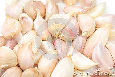 Garlic Stock Photo