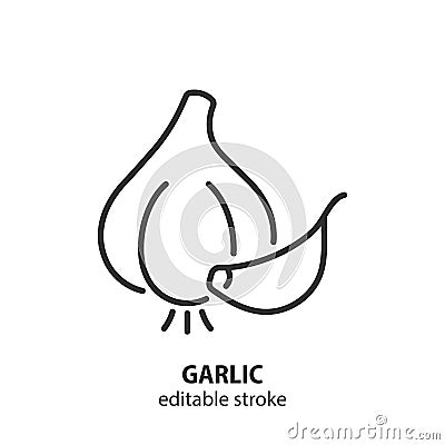 Garlic line icon. Garlic clove vector symbol. Editable stroke Vector Illustration