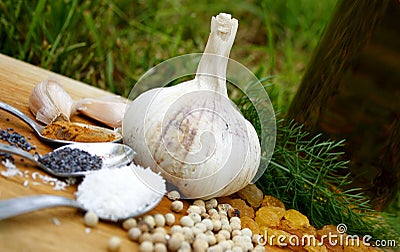 Garlic and other spices Stock Photo