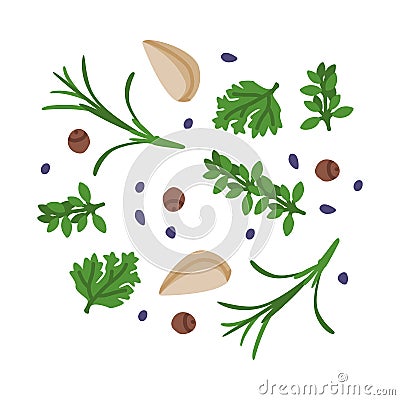 Garlic, Parsley and Rosemary Potherb as Wok Asian Food Ingredient Vector Illustration Vector Illustration