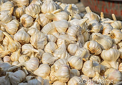 Garlic for sale at rural market Stock Photo