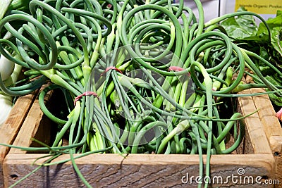 Garlic scapes (green garlic tops) at the farmer's market Stock Photo