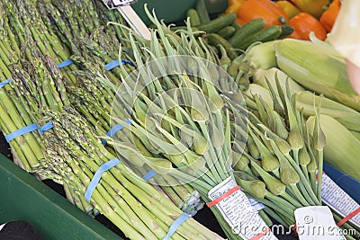 Garlic Spears and Asparagus Bundles Stock Photo