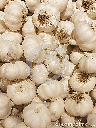 Garlic healthy food vitamin spice seasoning flavoring flavouring condiment Stock Photo