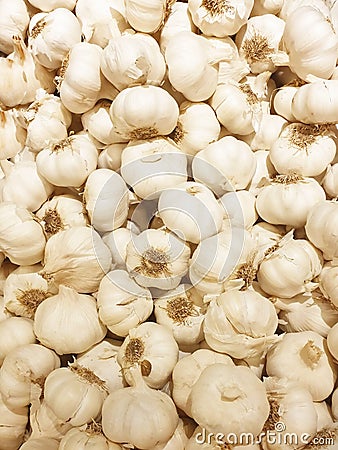 Garlic healthy food vitamin spice seasoning flavoring flavouring condiment Stock Photo