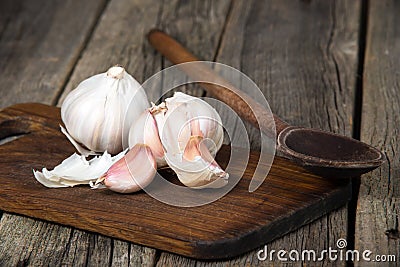 Garlic Stock Photo