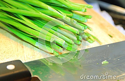 Garlic Sprouts Stock Photo