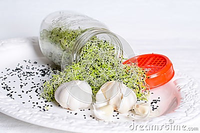 Garlic sprouts Stock Photo
