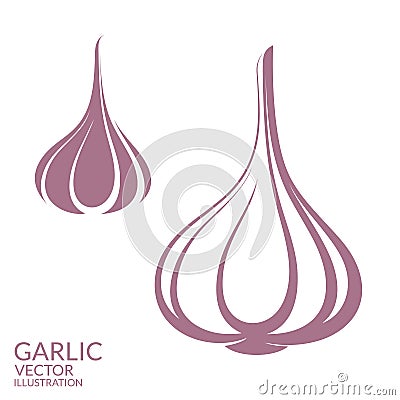 Garlic Vector Illustration