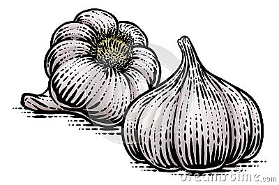 Garlic Vegetable Vintage Woodcut Illustration Vector Illustration