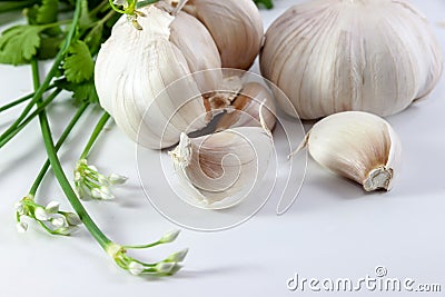 Garlic and vegetable Stock Photo