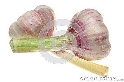 Garlic on a white background Stock Photo