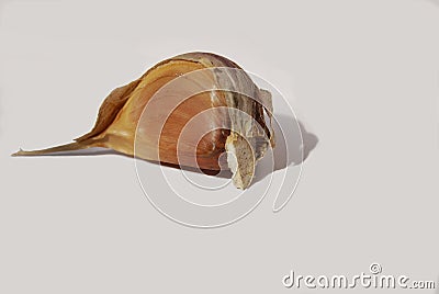 Garlic on a white background Stock Photo