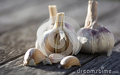 Garlic with wooden backgrounds Stock Photo