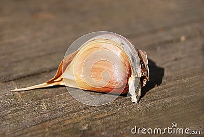 Garlic on a wooden table Stock Photo