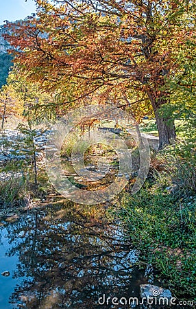 Garner State Park, Concan, Texas Stock Photo