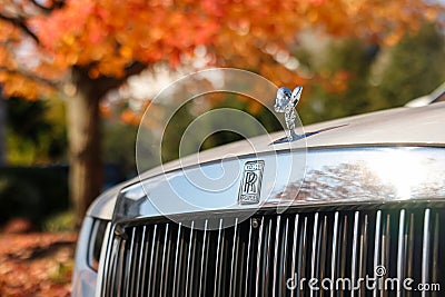 A white Rolls-Royce Ghost sedan car in a residential community with fall foliage in the background Editorial Stock Photo