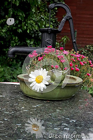 Old beam-pump with flowers on marble top Stock Photo