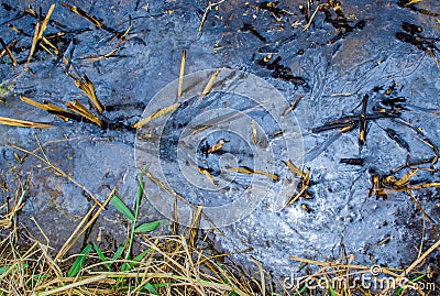 Gasoline stain on a water surface in rice fields in Vietnam gasoline stain on a water surface in rice fields in Vietnam Stock Photo