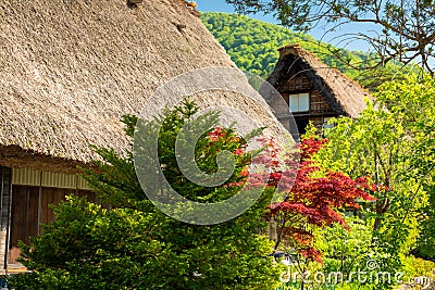 Gassho-zukuri houses in Gokayama Village. Gokayama has been insc Stock Photo