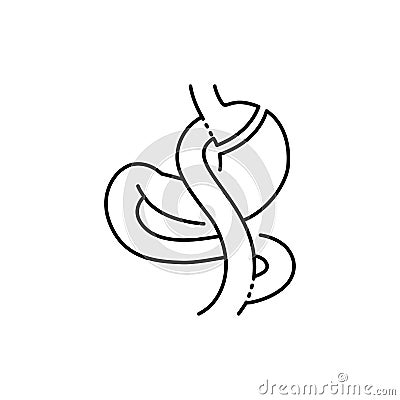 Gastric bypass Roux-en-Y olor line icon. Pictogram for web page, mobile app, promo. Vector Illustration