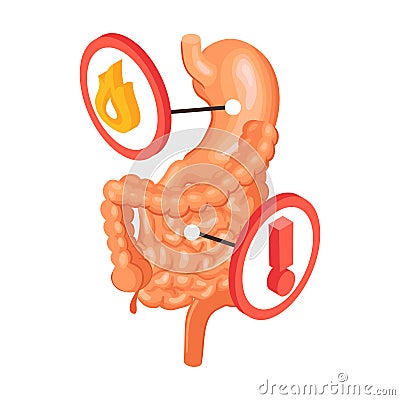 Gastroenterology Problems Finding Composition Vector Illustration