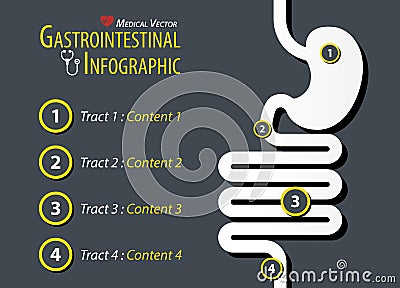 Gastrointestinal Infographic . Flat design . Vector Illustration