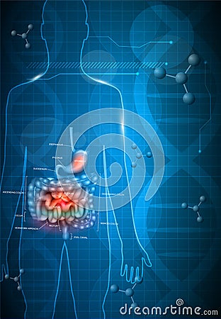 Gastrointestinal system and DNA Vector Illustration