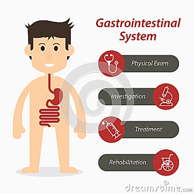 Gastrointestinal system and medical line icon Vector Illustration