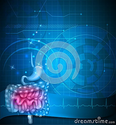 Gastrointestinal tract Vector Illustration