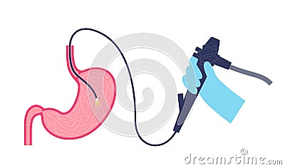 Gastroscopy endoscopy procedure Vector Illustration